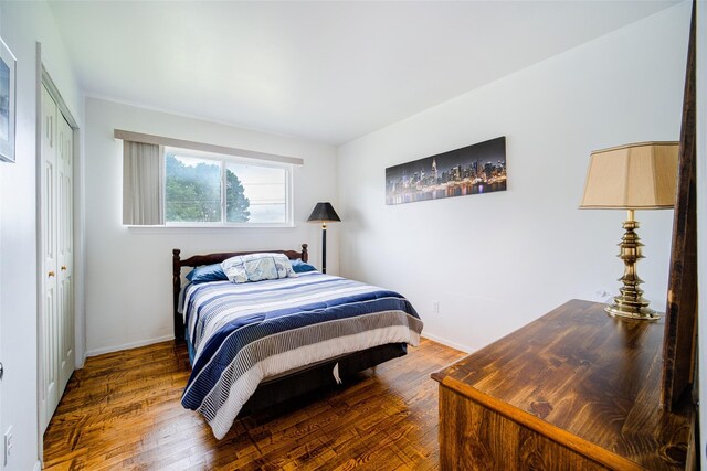 7 Ross Ln, Middletown, NY 10941 - bedroom featuring wood finished floors and a closet