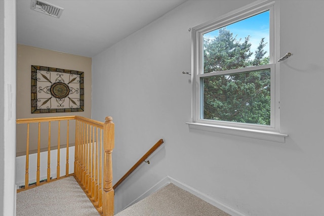 5 Michelle Ln, Selden, NY 11784 - stairway featuring healthy amount of natural light and carpet flooring