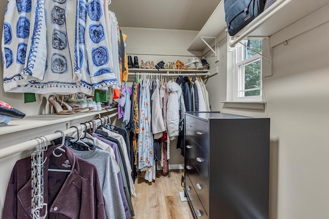 5 Michelle Ln, Selden, NY 11784 - spacious closet featuring wood finished floors