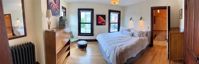 2 Lincoln Ter, Newburgh, NY 12550 - bedroom with radiator and light wood-style floors