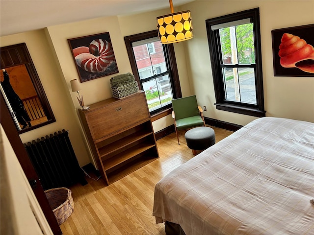 2 Lincoln Ter, Newburgh, NY 12550 - bedroom featuring light wood-style flooring