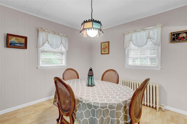 5 The Promenade, Glen Head, NY 11545 - dining space featuring radiator, wood finished floors, baseboards, and crown molding