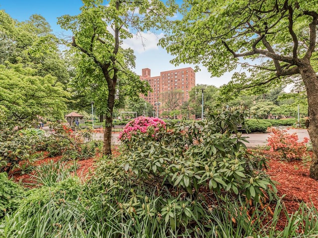 44 Metropolitan Oval Unit 10D, Bronx, NY 10462 - view of yard