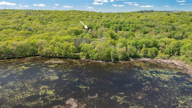 203 Silver Lake Rd, Rhinebeck, NY 12572 - photo 38