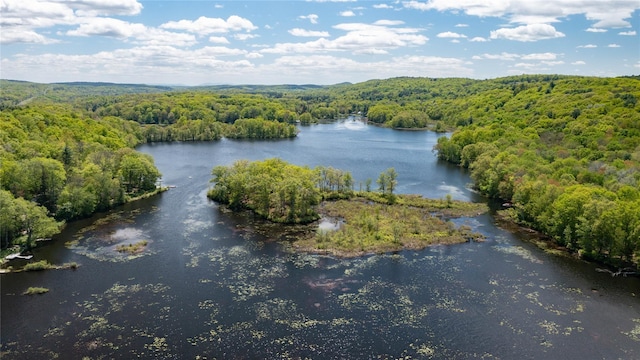 203 Silver Lake Rd, Rhinebeck, NY 12572 - photo 39