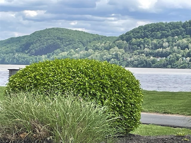 100 Dowd St Unit C12, Haverstraw, NY 10927 - view of mountain backdrop with a heavily wooded area