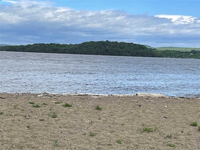 100 Dowd St Unit C12, Haverstraw, NY 10927 - water view featuring a forest