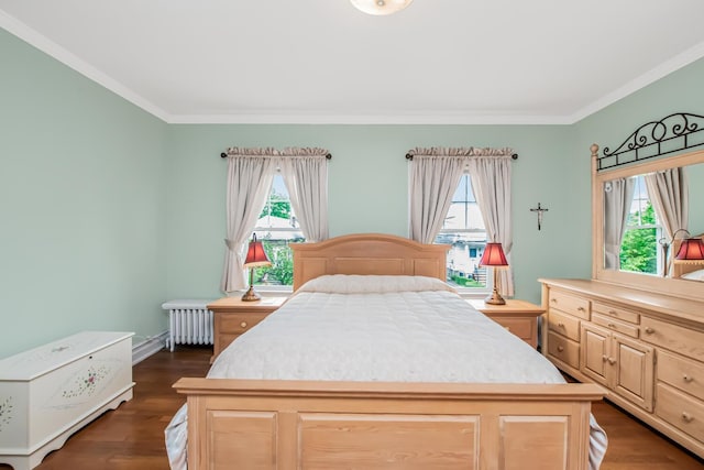 37 Lee Ave, Yonkers, NY 10705 - bedroom featuring radiator, multiple windows, ornamental molding, and dark wood-style flooring