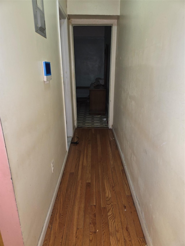 79 Hamilton Pl Unit 5, New York Manhattan, NY 10031 - hall with wood finished floors and baseboards