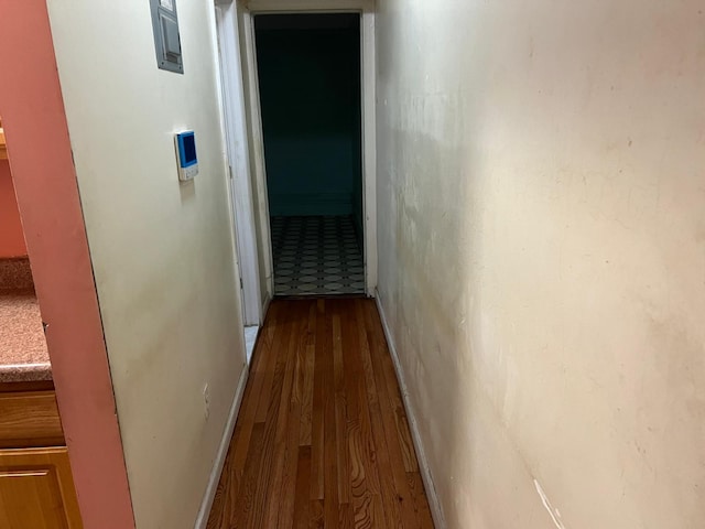 79 Hamilton Pl Unit 5, New York Manhattan, NY 10031 - hallway with dark wood-style floors and electric panel