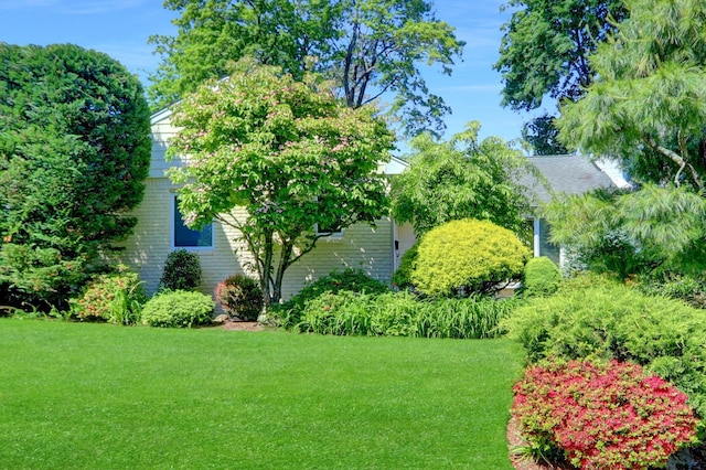 1 Exeter Pl, Glen Head, NY 11545 - view of green lawn
