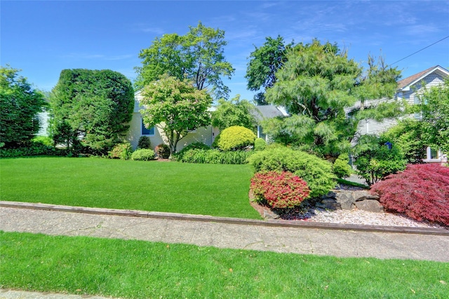 1 Exeter Pl, Glen Head, NY 11545 - view of green lawn