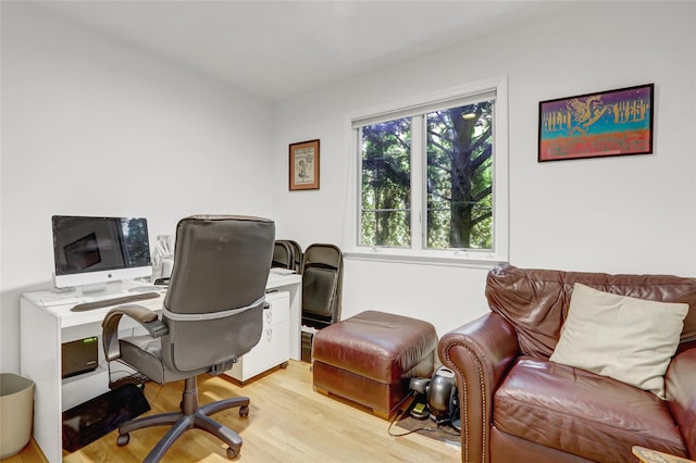 1 Exeter Pl, Glen Head, NY 11545 - office with light wood finished floors