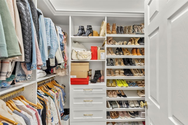 view of spacious closet