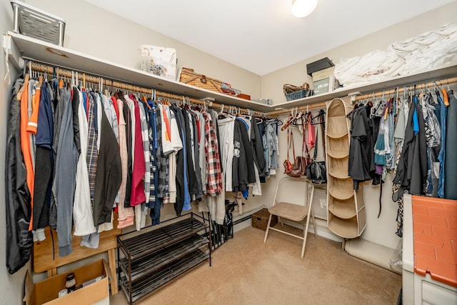 29 Water Ln N, Levittown, NY 11756 - walk in closet with carpet floors