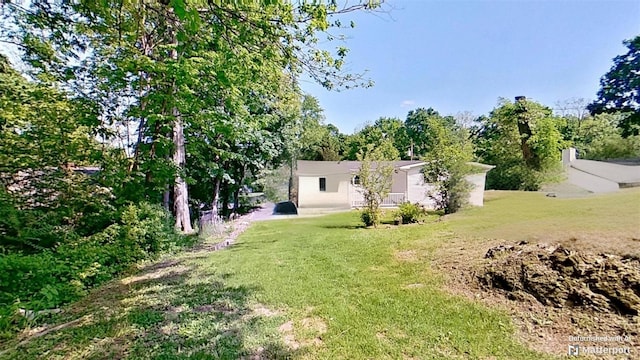 view of grassy yard