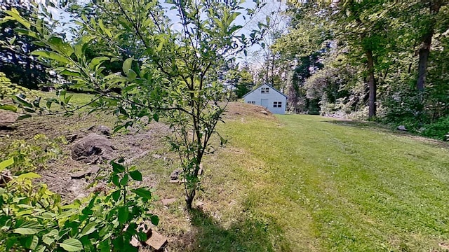 view of grassy yard