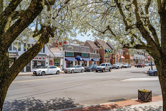 324 N Greeley Ave, Chappaqua, NY 10514 - view of asphalt road with sidewalks, curbs, and street lights