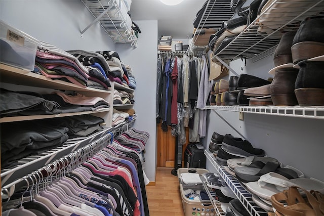 spacious closet featuring wood finished floors