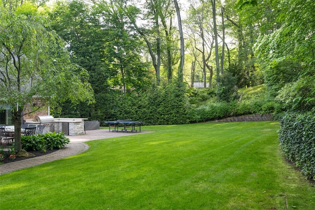 14 Rockwood Rd W, Manhasset, NY 11030 - view of green lawn featuring an outdoor kitchen and a patio area