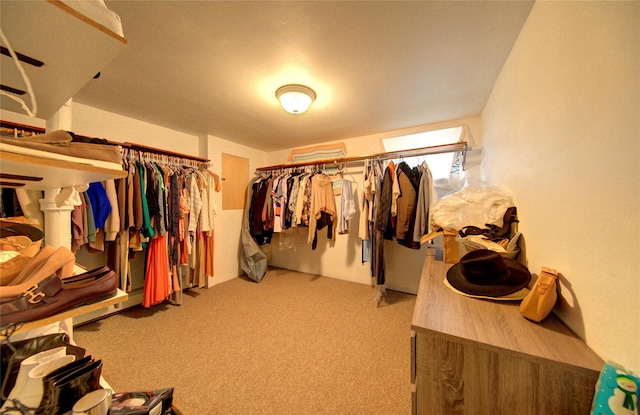 55 Richfield St, Plainview, NY 11803 - spacious closet with carpet