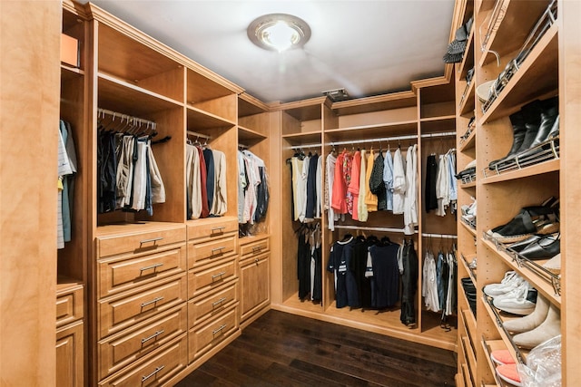 30 Lawrence Rd, Kings Park, NY 11754 - spacious closet with dark wood finished floors
