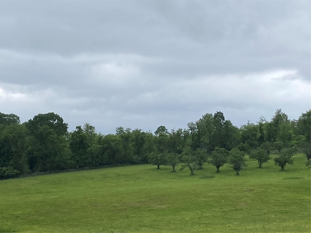 Ridge Road, Marlboro, NY 12542 - photo 7