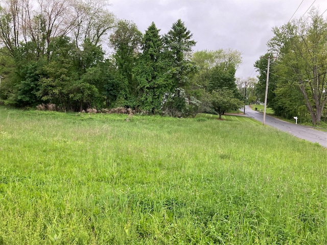 Ridge Road, Marlboro, NY 12542 - photo 8