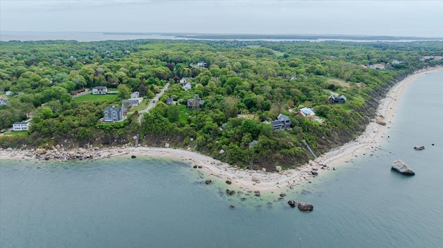 4200 Rocky Point Rd, East Marion, NY 11939 - bird's eye view of unending shoreline and a forest