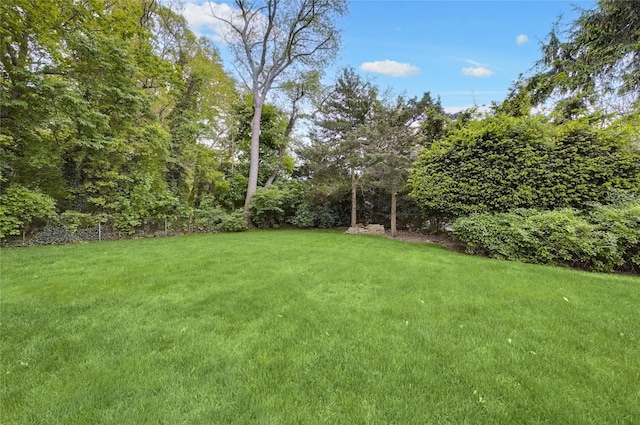 29 Cross Bow Ln, Commack, NY 11725 - view of grassy yard