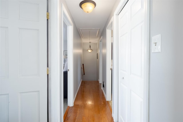 17 Daytona Beach Pl, Coram, NY 11727 - hall featuring attic access, light wood-style floors, and baseboards