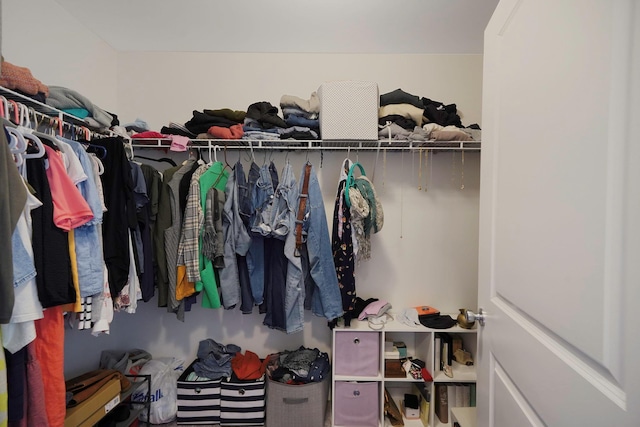 59 Middle Island Blvd, Middle Island, NY 11953 - view of walk in closet