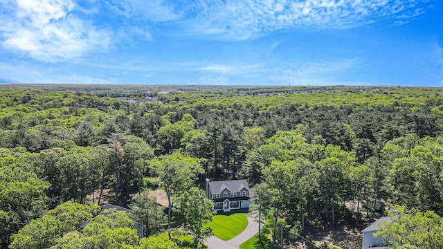 59 Middle Island Blvd, Middle Island, NY 11953 - view from above of property featuring a forest