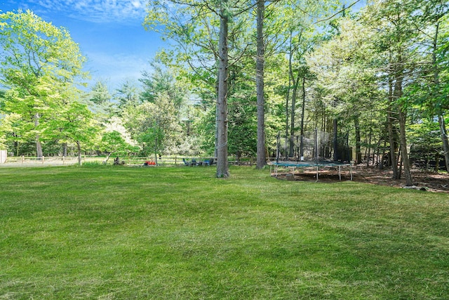 59 Middle Island Blvd, Middle Island, NY 11953 - view of green lawn featuring a trampoline