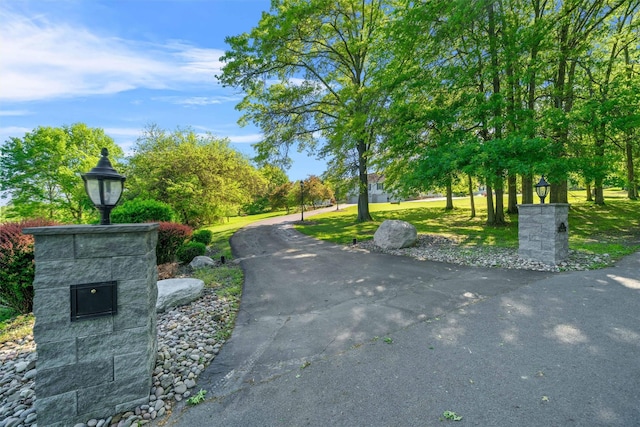 8 Roosa Rd, Wallkill, NY 12589 - photo 42