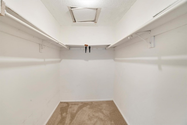 32 Huntington Cir Building 19, Peekskill, NY 10566 - spacious closet with carpet