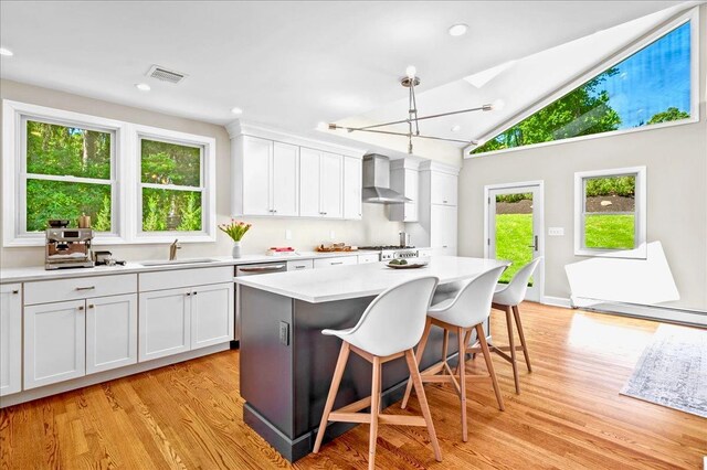 530 N Midland Ave N, Nyack, NY 10960 - kitchen with wall chimney range hood, a sink, light wood-type flooring, a baseboard radiator, and light countertops