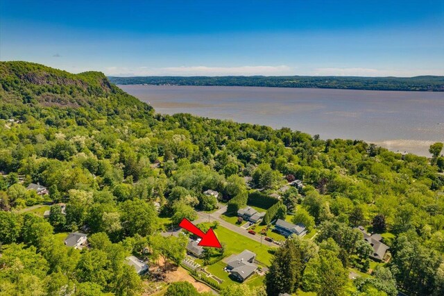 530 N Midland Ave N, Nyack, NY 10960 - aerial view of a forest and a large body of water