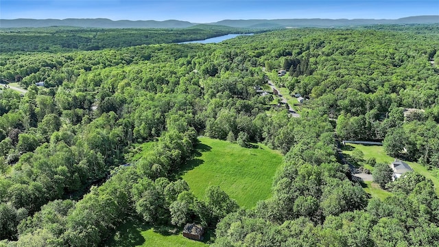 87 Mill St, Wallkill, NY 12589 - photo 24