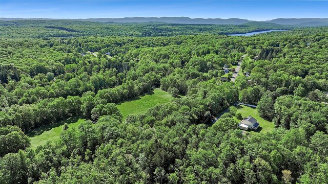 87 Mill St, Wallkill, NY 12589 - photo 25