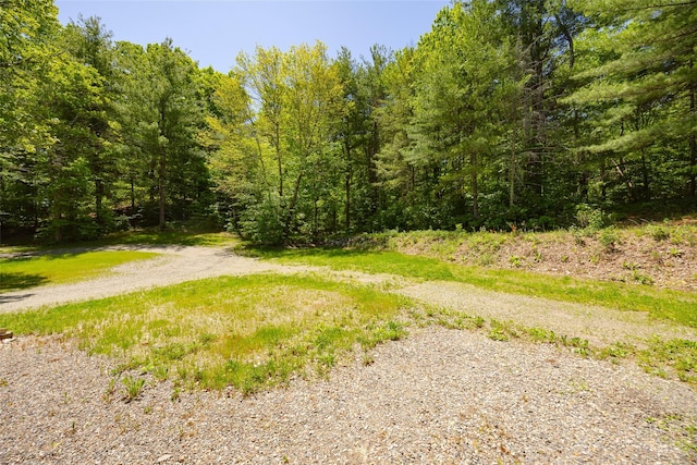 view of road featuring a forest view
