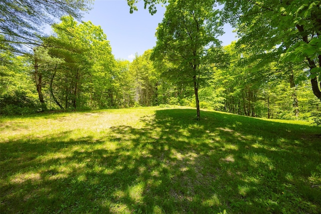 view of grassy yard with a forest view