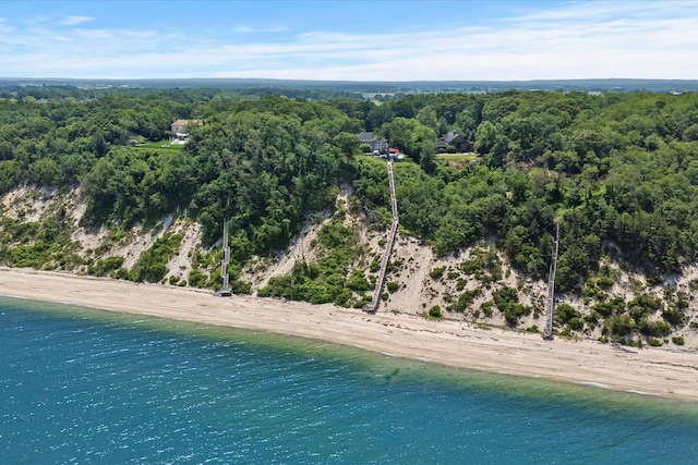 321 Sandpiper Dr, Riverhead, NY 11901 - aerial view of expansive coastline and a forest