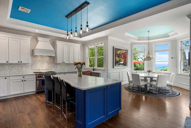 321 Sandpiper Dr, Riverhead, NY 11901 - kitchen featuring a raised ceiling, high end range, custom exhaust hood, blue cabinetry, and light countertops