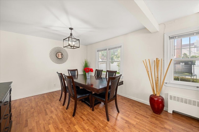 769 De Mott Ave, North Baldwin, NY 11510 - dining room featuring radiator, light wood-type flooring, a chandelier, and baseboards