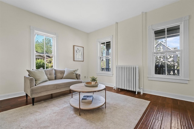 213 Walnut St, Peekskill, NY 10566 - living area featuring radiator heating unit, healthy amount of natural light, and wood-type flooring
