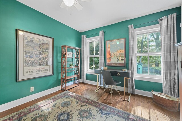213 Walnut St, Peekskill, NY 10566 - office featuring wood-type flooring, plenty of natural light, and a ceiling fan