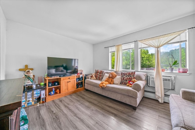 49 Ruth Ct, Middletown, NY 10940 - living room with wood finished floors, a baseboard radiator, and a wall unit AC