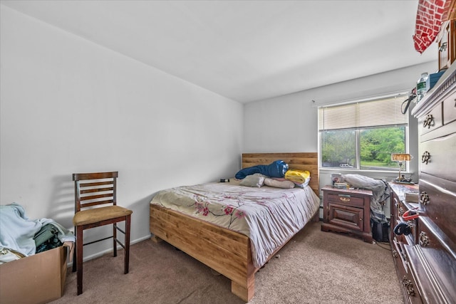 49 Ruth Ct, Middletown, NY 10940 - view of carpeted bedroom