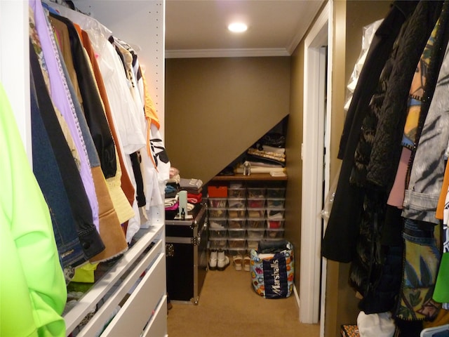 28 Crabtree Ln, Levittown, NY 11756 - spacious closet with carpet floors